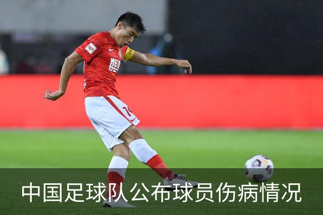 中国足球队公布球员伤病情况