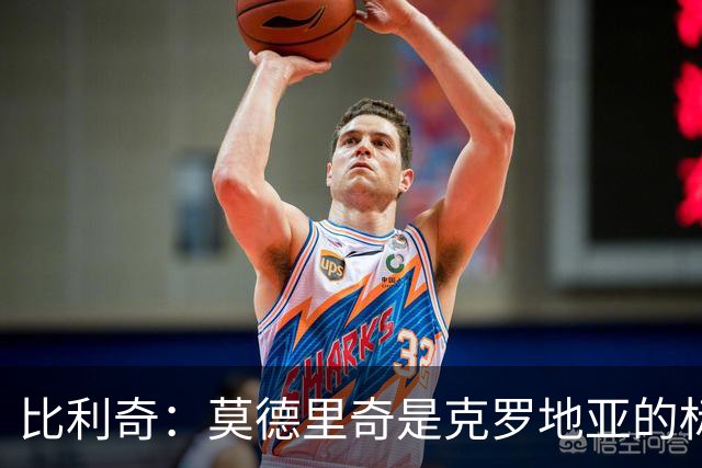 比利奇：莫德里奇是克罗地亚的标杆 泰尔齐奇执教毕巴很合适