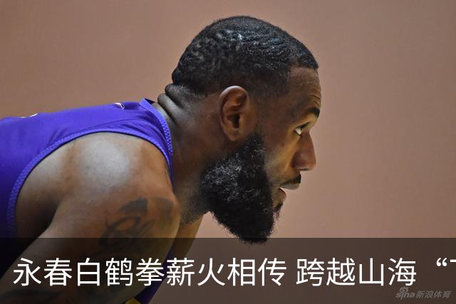 永春白鹤拳薪火相传 跨越山海“飞”向世界