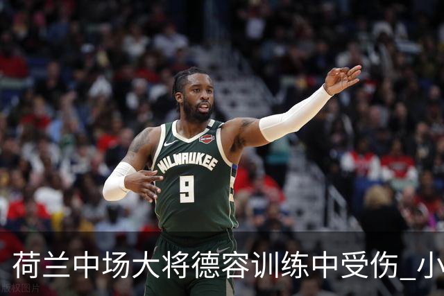 荷兰中场大将德容训练中受伤 小组赛次轮出战成疑